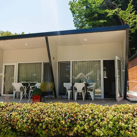 къмпинг- албатрос Warna